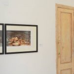 Exposición / Confabulaciones
