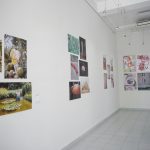 Exposición / Halle Habana